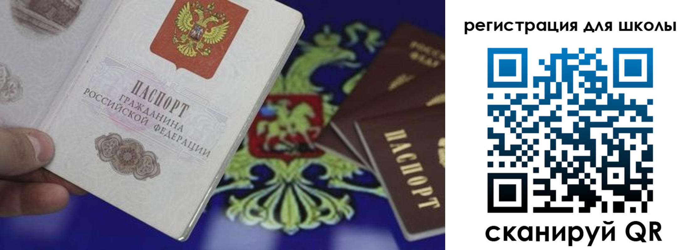 прописка законно в Советске